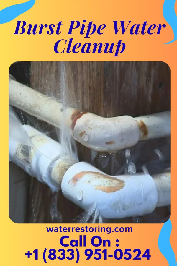 Burst Pipe Water Cleanup in Satanta, KS