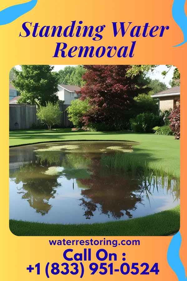 Standing Water Removal in Satanta, KS